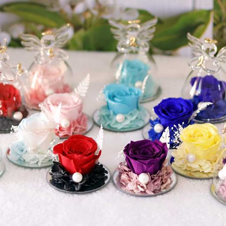 엔젤릭 이터널 로즈