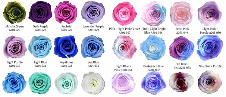 Everlasting Flower 8 flowers Rose Gift Box newshine