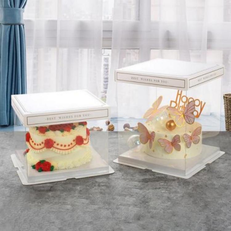 Plastic Cake Box