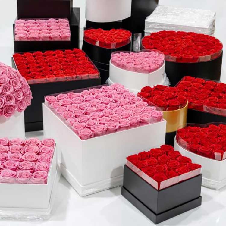 프리저브드 플라워 허그 버킷